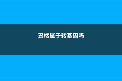 丑橘是不是转基因，是什么季节的水果 (丑橘属于转基因吗)