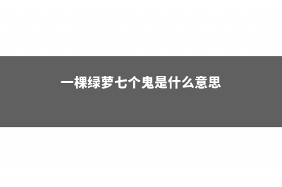 一棵绿萝七个鬼啥意思:关于绿萝招阴的说法是真的吗 (一棵绿萝七个鬼是什么意思)