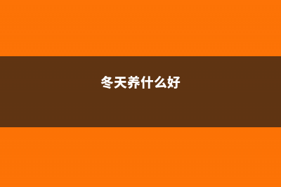 冬天只养这2种“花”，尤其是第2种，零下8℃也能活 (冬天养什么好)