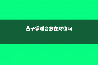 燕子掌能放在室内养吗 (燕子掌适合放在财位吗)