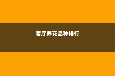 客厅养花选这“4种”，寓意好净空气，谁养谁知道！ (客厅养花品种排行)