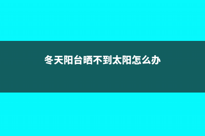 冬天阳台“光秃秃”？家里种上这4盆“花”，家里也有小花园！ (冬天阳台晒不到太阳怎么办)