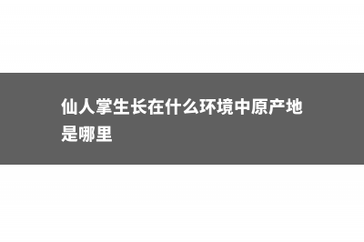 仙人掌生长在什么地方 (仙人掌生长在什么环境中原产地是哪里)