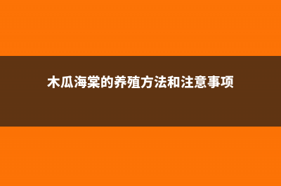 木瓜海棠的养殖方法和注意事项 (木瓜海棠的养殖方法和注意事项)