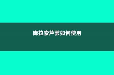 库拉索芦荟如何繁殖 (库拉索芦荟如何使用)