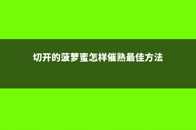 切开的菠萝蜜怎么保存，剥好可以放几天 (切开的菠萝蜜怎样催熟最佳方法)