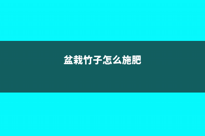 盆栽小竹子怎么养活 (盆栽竹子怎么施肥)