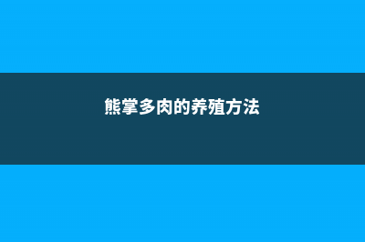 多肉的养殖方法 (熊掌多肉的养殖方法)