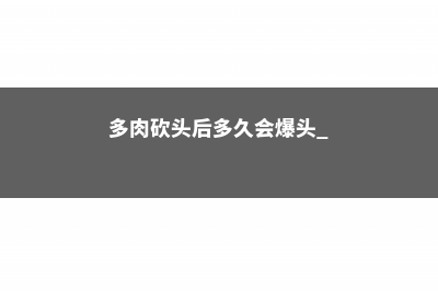 多肉砍头后多久会爆头 