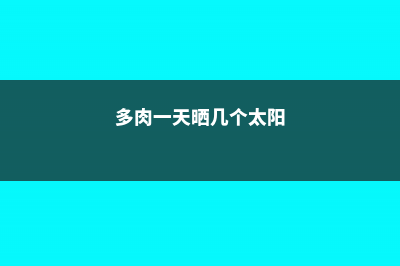 多肉一天晒几个小时 (多肉一天晒几个太阳)