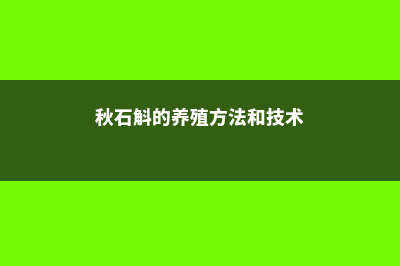 秋石斛的养殖方法 (秋石斛的养殖方法和技术)