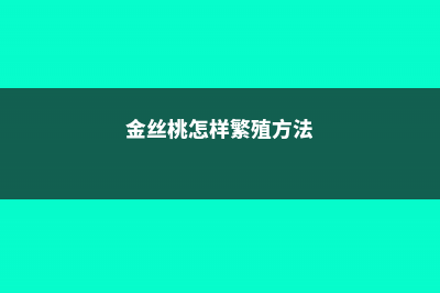 金丝桃怎样繁殖 (金丝桃怎样繁殖方法)