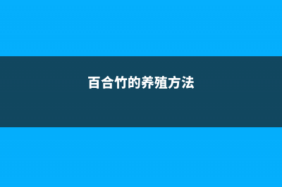 百合竹的养殖方法和注意事项 (百合竹的养殖方法)