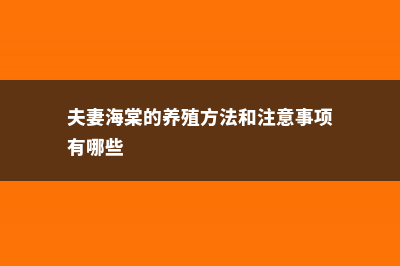 夫妻海棠的养殖方法和注意事项 (夫妻海棠的养殖方法和注意事项有哪些)