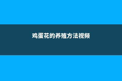 鸡蛋花的养殖方法和注意事项 (鸡蛋花的养殖方法视频)