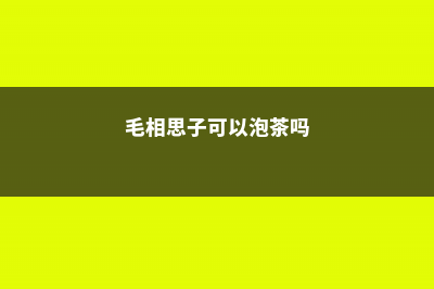 毛相思子是什么，与鸡骨草区别有哪些 (毛相思子可以泡茶吗)