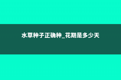 水草种子正确种植方法（步骤图解） (水草种子正确种 花期是多少天)