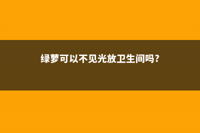 绿萝可以不见光吗，长期不见太阳行吗 (绿萝可以不见光放卫生间吗?)