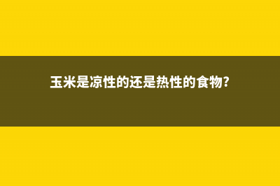 玉米是凉性还是热性，有什么功效与作用 (玉米是凉性的还是热性的食物?)