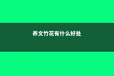 养文竹有什么好处，有风水禁忌吗 (养文竹花有什么好处)