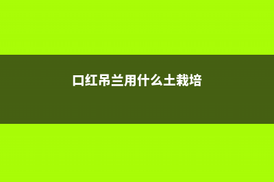 口红吊兰用什么催花，什么时候开花 (口红吊兰用什么土栽培)