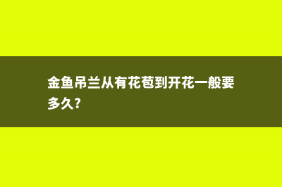 金鱼吊兰花期多长时间，一年开几次花 (金鱼吊兰从有花苞到开花一般要多久?)