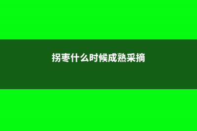 拐枣什么时候成熟，什么时候采收 (拐枣什么时候成熟采摘)