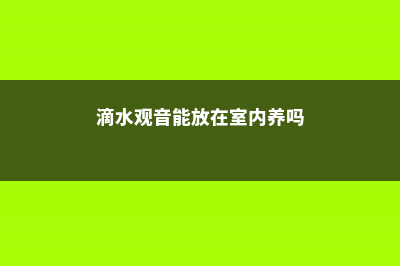 滴水观音能放在卧室吗，有毒吗 (滴水观音能放在室内养吗)