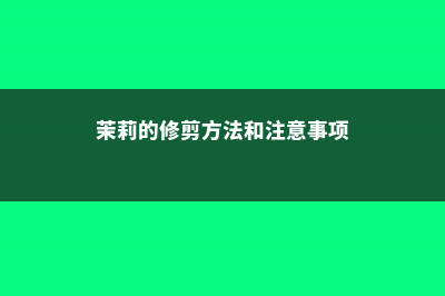 茉莉的修剪方法，叶子蔫了怎么办 (茉莉的修剪方法和注意事项)