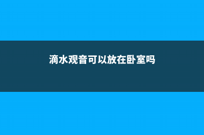 滴水观音可以放客厅吗 (滴水观音可以放在卧室吗)