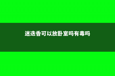 迷迭香可以放卧室吗，会很香吗 (迷迭香可以放卧室吗有毒吗)