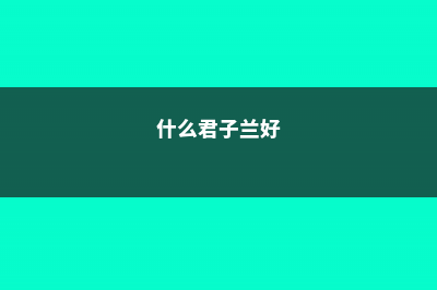 哪种君子兰易养成群兰（附养殖方法和注意事项） (什么君子兰好)