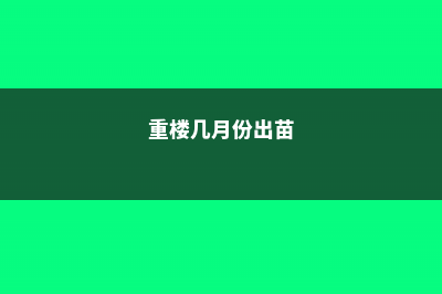 重楼几月有苗，什么时候采收 (重楼几月份出苗)