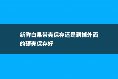 新鲜白果可以带壳煮吗，要煮多久？ (新鲜白果带壳保存还是剥掉外面的硬壳保存好)