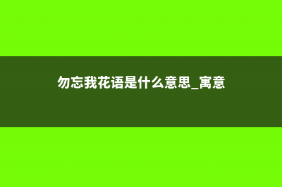 勿忘我的花语是什么 (勿忘我花语是什么意思 寓意)