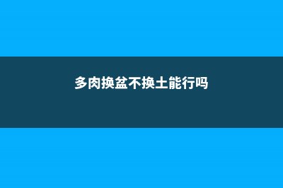 多肉换盆不换土可以吗，湿土还是干土好 (多肉换盆不换土能行吗)