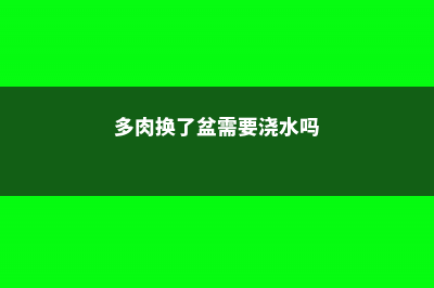 多肉换了盆需要浇水吗，换盆需要带原土吗 (多肉换了盆需要浇水吗)