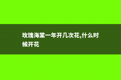 玫瑰海棠一年开几次花，花期如何养护 (玫瑰海棠一年开几次花,什么时候开花)