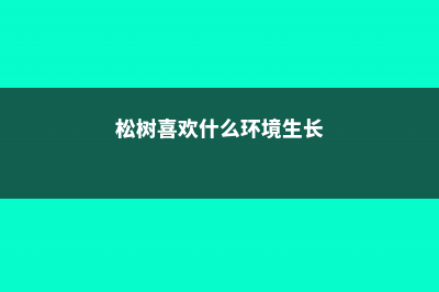 松树喜欢水吗，喜欢什么环境 (松树喜欢什么环境生长)