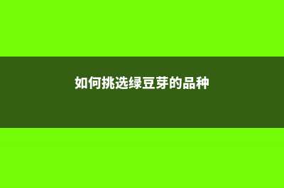 如何挑选绿豆芽，绿豆芽发苦发红有毒吗？ (如何挑选绿豆芽的品种)