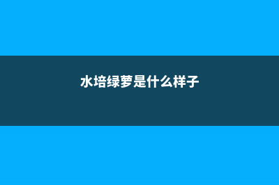 水培绿萝从哪里剪根，冬天能剪根吗？ (水培绿萝是什么样子)