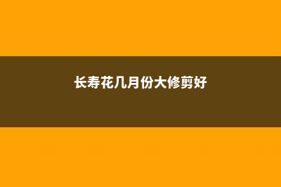 长寿花几月份大修剪好，怎么修剪能开花 (长寿花几月份大修剪好)