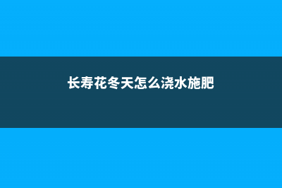 冬天长寿花浇水方法，经常浇水好吗 (长寿花冬天怎么浇水施肥)