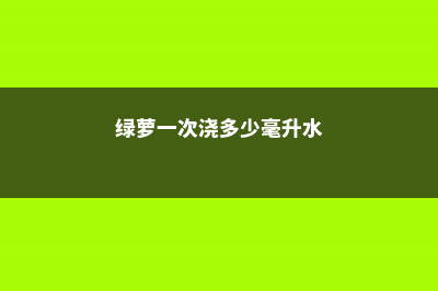 绿萝一次浇多少水合适，浇次水保多久 (绿萝一次浇多少毫升水)