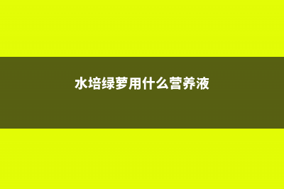 水培绿萝用什么水，加什么肥，什么季节适合水培 (水培绿萝用什么营养液)