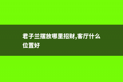 君子兰摆放哪里招财，客厅什么位置好 (君子兰摆放哪里招财,客厅什么位置好)