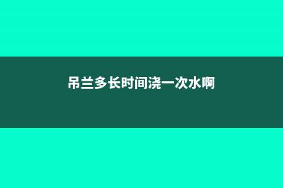 吊兰多久放一次鸡蛋壳，能长得更旺盛吗 (吊兰多长时间浇一次水啊)