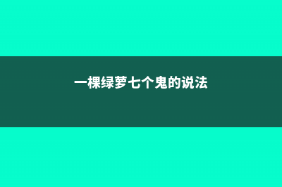 一棵绿萝七个鬼啥意思：关于绿萝招阴的说法是真的吗 (一棵绿萝七个鬼的说法)