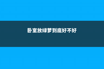 卧室放绿萝还是放吊兰，作用和区别是什么，哪个风水好 (卧室放绿萝到底好不好)