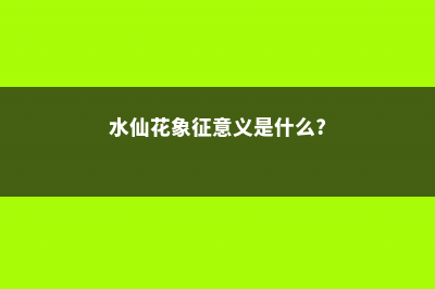 水仙花花语和象征，送水仙花代表什么含义 (水仙花象征意义是什么?)